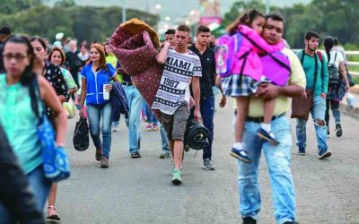 Pequeños caminantes