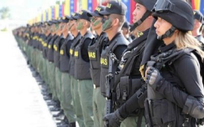 Expertos preocupados por la incorporación de las Bricomiles a las escuelas