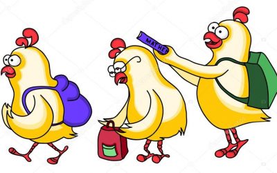 ¿Gallinas por maestras?