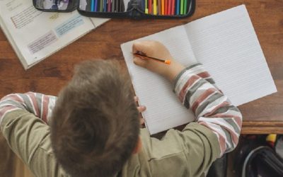 Federación Venezolana de Maestros plantea la reprogramación del año escolar 2019-2020