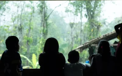 658 niños y niñas fueron víctimas de violaciones de DD.HH. por el conflicto en Colombia entre 2022 y 2024: ONU