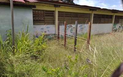 “Los niños venían a la escuela por la comida y ni eso tienen garantizado”
