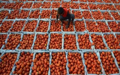 Emergencia humanitaria aumenta el trabajo infantil en Venezuela
