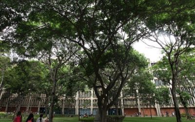 La UCAB prepara un programa para formar educadores