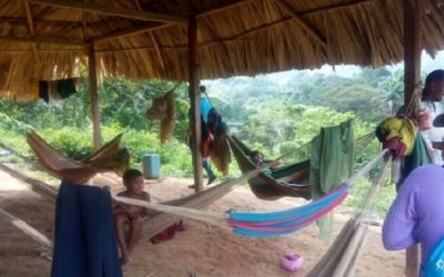 Sucre: Denuncian que niños waraos mueren por desnutrición